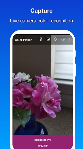 Camera Color Picker Screenshot 1 - AppWisp.com