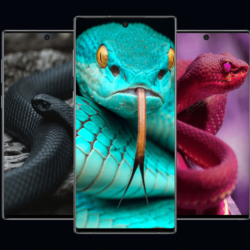 Animals HD Wallpaper-SNAKE 4K  Icon