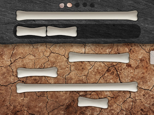 Match and Measure - US Screen 3