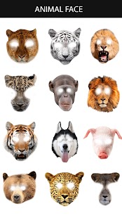 Animal Face Maker App Screenshot