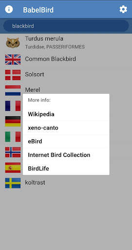 BabelBird Screen 3