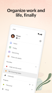 Todoist: danh sách việc cần làm & kế hoạch MOD APK (Mở khóa Premium) 1