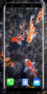 Koi Fish Live Wallpapers