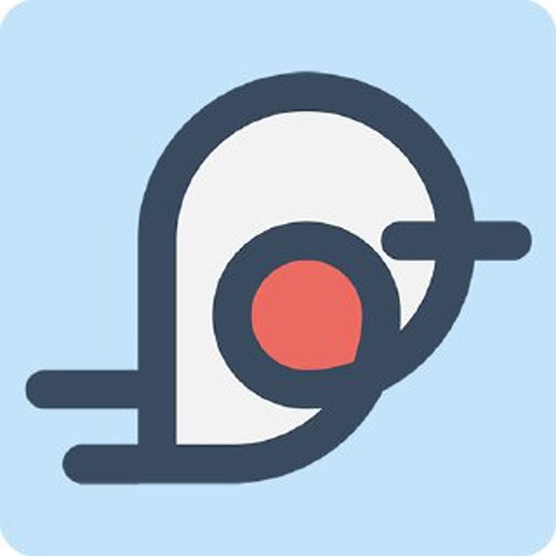 Robin VPN logo