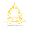 Auriculoterapia - Loto Amarill icon