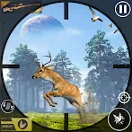 Wild Hunt - Animals Shooting
