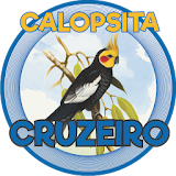 CALOPSITA - CRU icon