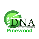 DNA Pinewood icon