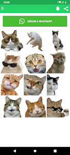 Stickers de gatos graciosos