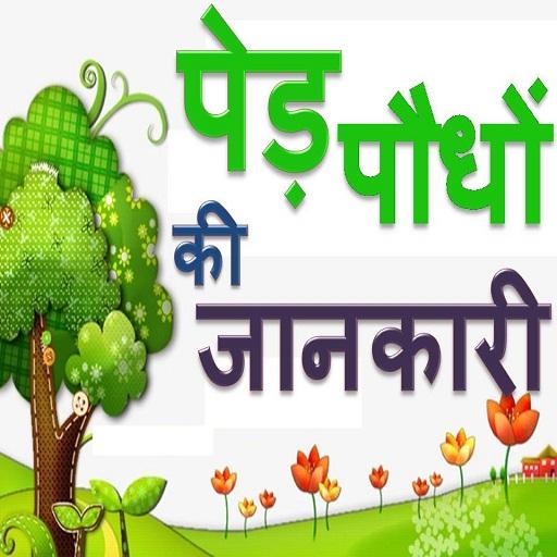 Trees Guide HINDI GK - Types of Trees