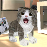 Real Cat Simulator icon