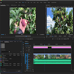 Adobe Premiere Pro Course 1.0 (AdFree)