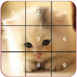 Cat puzzles Jigsaw , Slide ,2048 Puzzle Free Games icon
