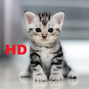Top 40 Personalization Apps Like Cat Wallpapers HD 4K - Best Alternatives