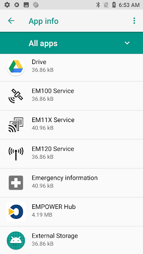 EMPOWER EM11X Service Screen 2