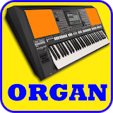 Electronic Organ, Piano, Guitar, violin & Drum Pad icon
