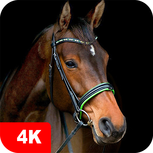 Horse Wallpapers 4K 5.7.4 Icon