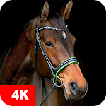 Cover Image of Baixar Papéis de parede de cavalos 4K  APK