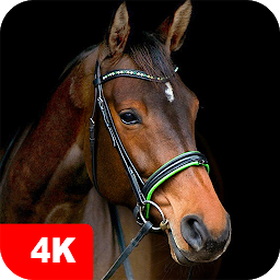 「Horse Wallpapers 4K」のアイコン画像