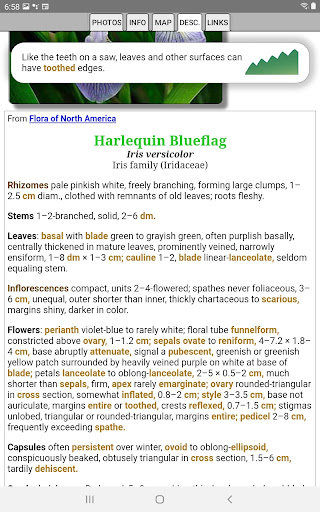 Logo https://play-lh.googleusercontent.com/Mi9g_Rsj_Sp1beQfKP0CW992vIhB1MROfFPE6fUBwUqASUVfxTJLIJnbJPDPozG9-9Y