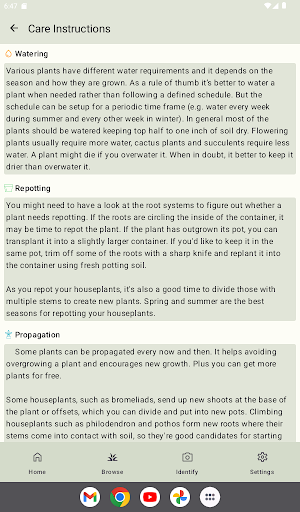 Plant Care - Identify Flowers