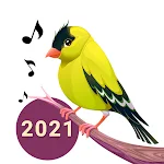 Cover Image of ダウンロード 鳥の歌、着メロ、鳴き声 6.1.7 APK