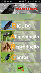 Bicudos e Curiós