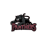 NEB Panthers icon