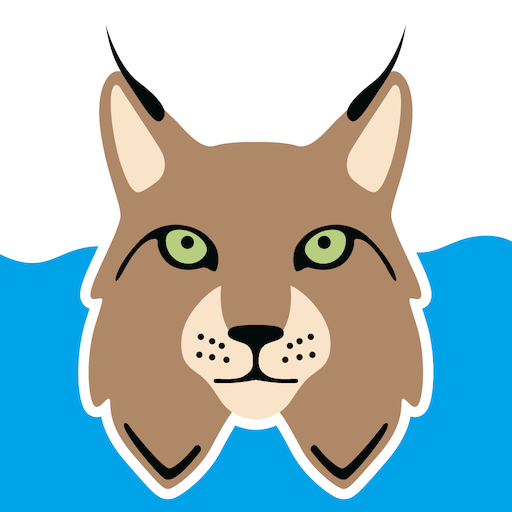 WashLynx logo