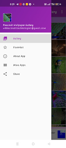 Android application Peacock Wallpaper Gallery screenshort