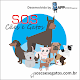 Download SOS Cães e Gatos For PC Windows and Mac 1.0