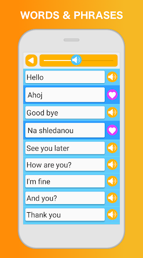 Screenshot of Learn Czech Language