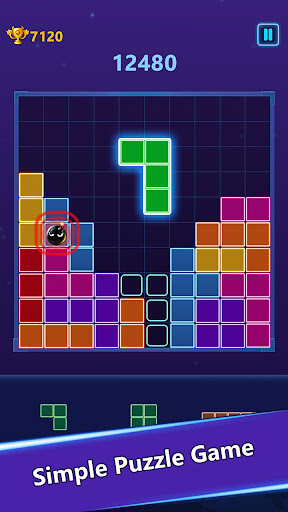 Color Puzzle Game Screen 3