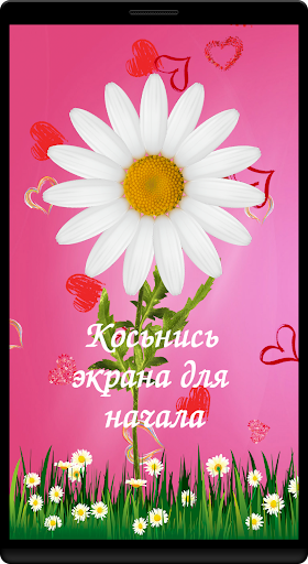 Android application Любит не любит гадание screenshort