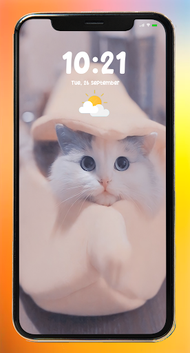 Cat Wallpaper Screen 3