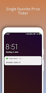 Crypto Alerts – For binance Apk Download 5