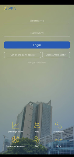 Amole Wallet Dashen Bank Screen 2