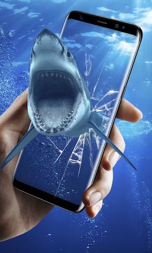 3d Shark In The Oceanビデオライブ壁紙無料 By Free Live Wallpaper Google Play Japan Searchman App Data Information