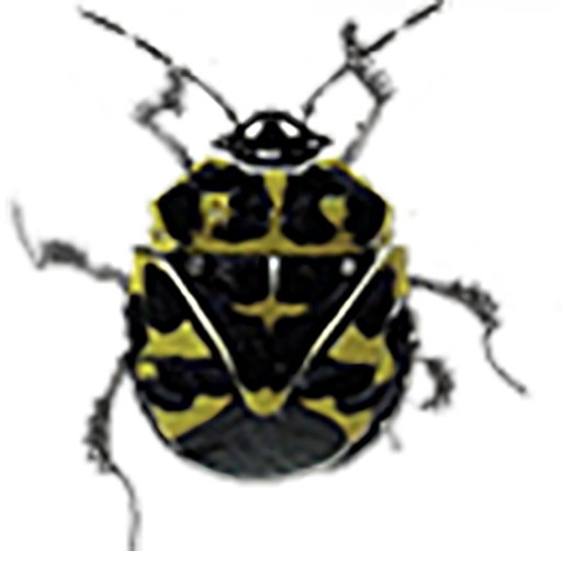 Of Insekts And Faeries logo