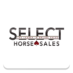 「Select Online Horse Sales」圖示圖片