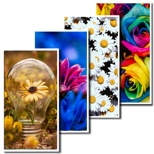 Flower Wallpaper logo