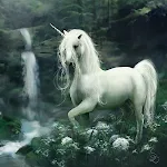 Cover Image of डाउनलोड Unicorn Wallpapers HD 1.0 APK