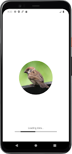 Sparrow Bird âm thanh