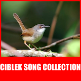Ciblek Song Collection icon
