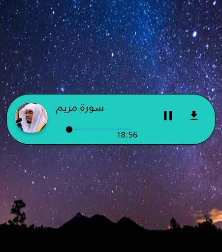 تلاوات ياسر دوسري للقرآن Screen 3