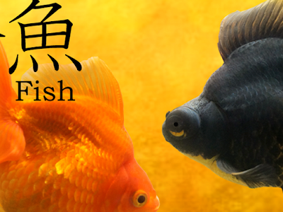 最高のコレクション 金魚 アプリ android 無料 166446-金魚 アプリ android 無料