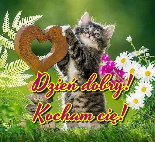 Dzień dobry! Screen 2