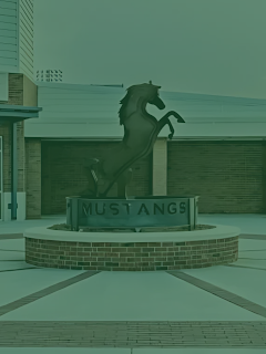 Pillow Academy Mustangs