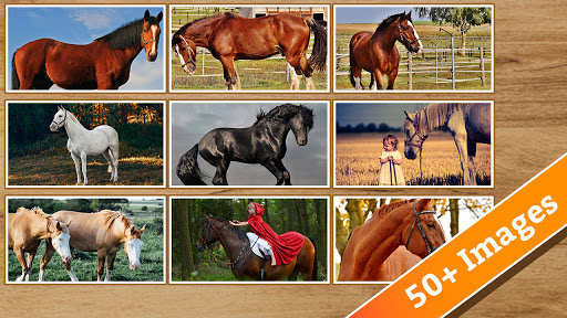Horse Jigsaw Screen 2