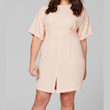 Plus Size Dress Collection icon